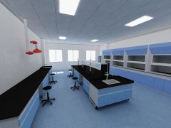 廣西出入境檢驗檢疫中心實驗室設計儀器配置